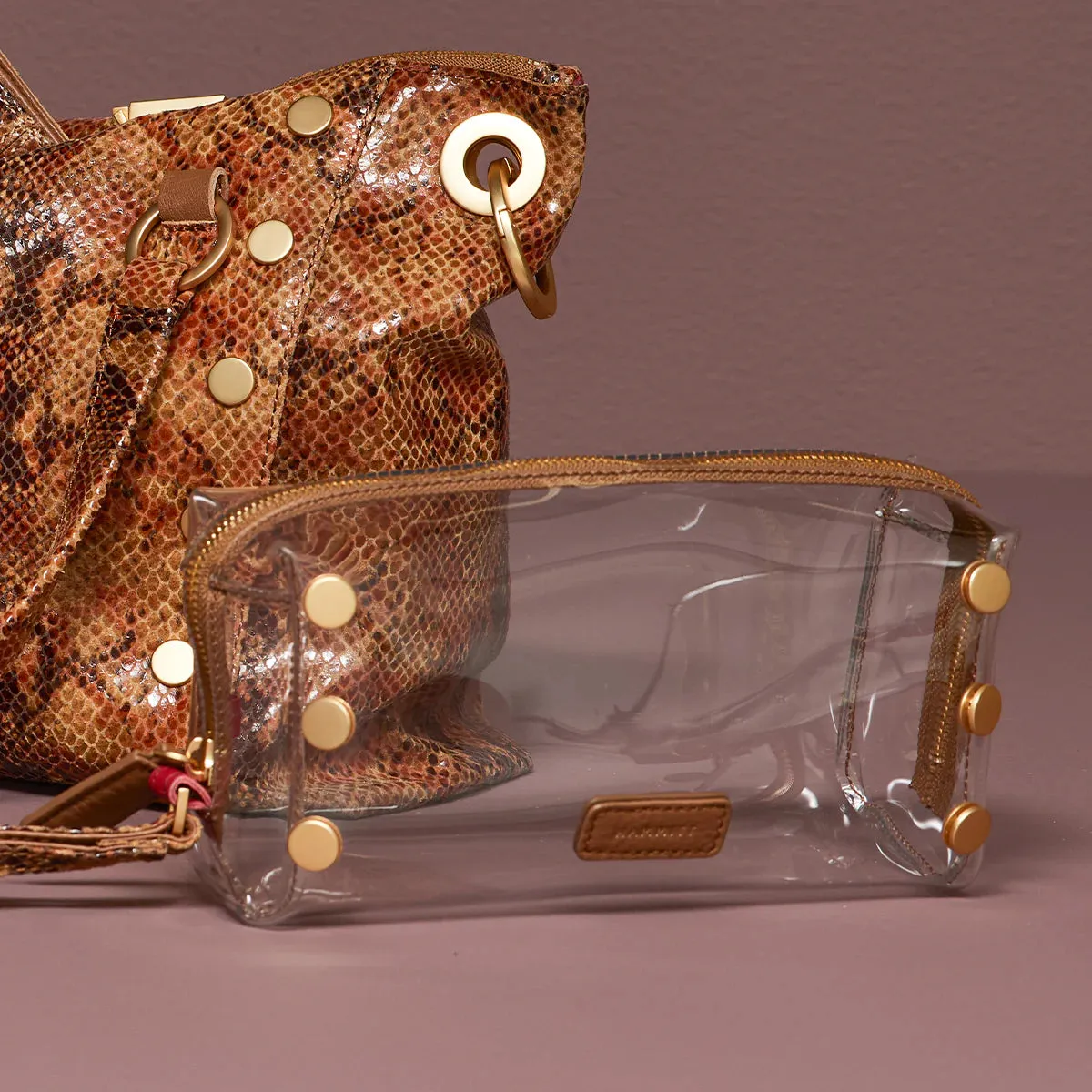 Hammitt Make Up Bag in Clear Centerpiece Snake/Brushed Gold