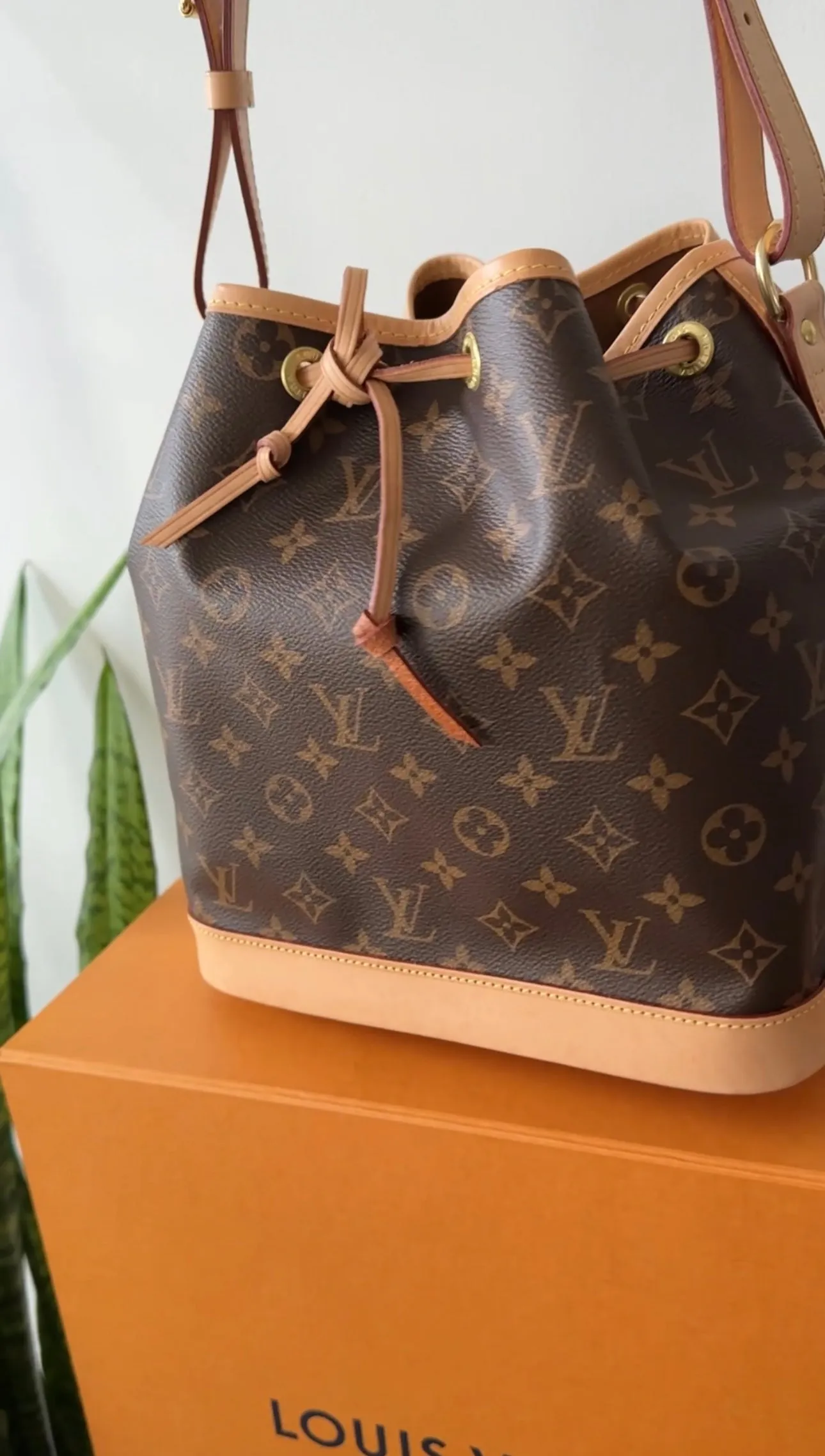 Louis Vuitton Monogram Canvas Petit Noe Drawstring Bag